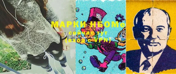 бошки Бронницы