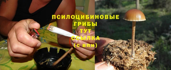прущая мука Белокуриха