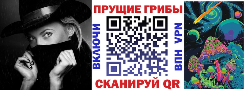 купить наркотик  ссылка на мегу вход  Псилоцибиновые грибы мицелий  Челябинск 